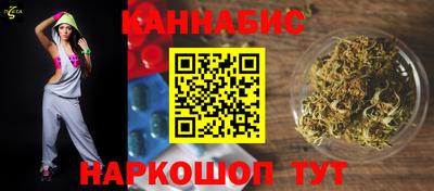 мет Кингисепп