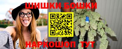 мет Кингисепп