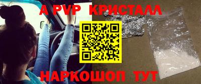 мет Кингисепп
