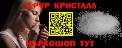 мет Кингисепп