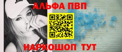мет Кингисепп