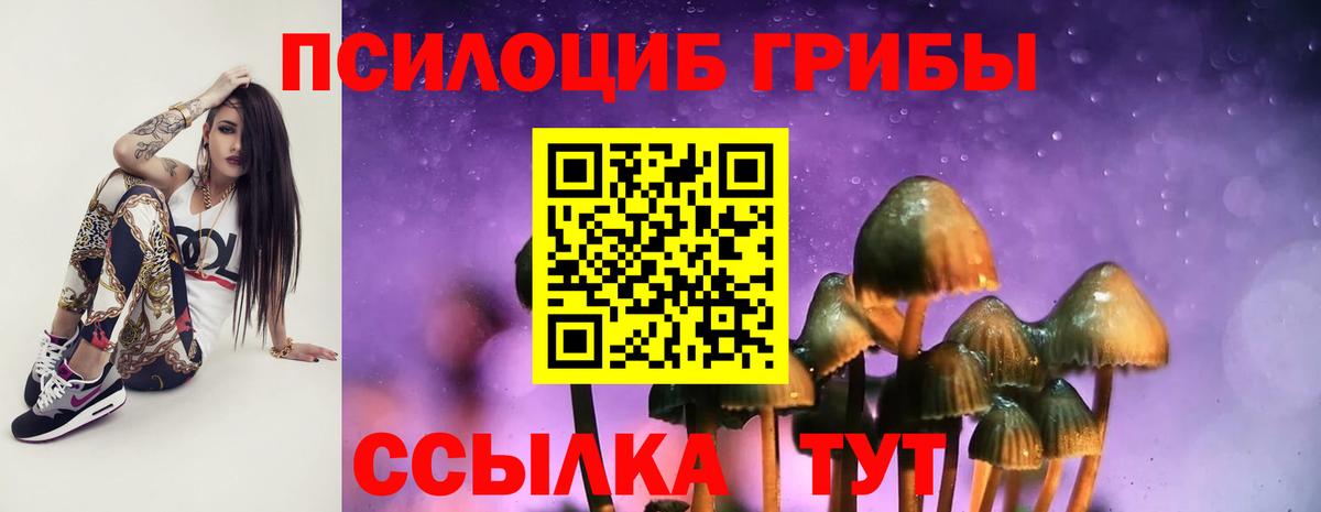 Кувандык  Псилоцибиновые грибы GOLDEN TEACHER  Вход с VPN  купить   Псилоцибиновые грибы мухоморы 